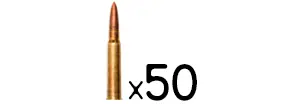 556 50 rounds