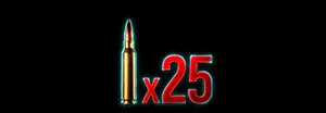 223 25 rounds 3